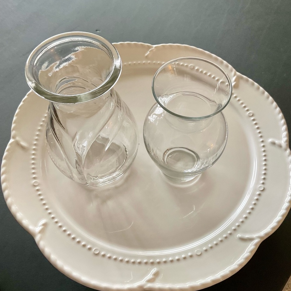 Clear Glass Bulb Forcing Vases Set of Two